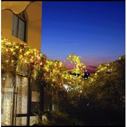 Solar warm white garden light,3m