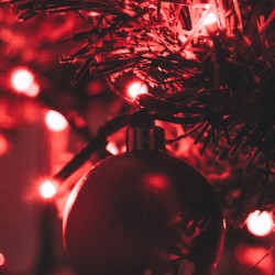 100 LED ΧΡΙΣΤΟΥΓΕΝΝΙΑΤΙΚΑ ΛΑΜΠΑΚΙΑ ΚΟΚΚΙΝΑ ΜΕ ΔΙΑΦΑΝΟ ΚΑΛΩΔΙΟ (9Μ) - 1 ΤΕΜ 100 LED ΧΡΙΣΤΟΥΓΕΝΝΙΑΤΙΚΑ ΛΑΜΠΑΚΙΑ ΚΟΚΚΙΝΑ ΜΕ ΔΙΑΦΑΝΟ ΚΑΛΩΔΙΟ (9Μ) - 1 ΤΕΜ