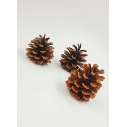 ΚΟΥΚΟΥΝΑΡΙΑ ( 6 ΤΜΧ)