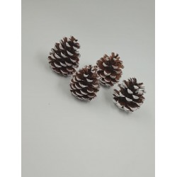 ΚΟΥΚΟΥΝΑΡΙΑ ΛΕΥΚΑ ( 6 ΤΜΧ)