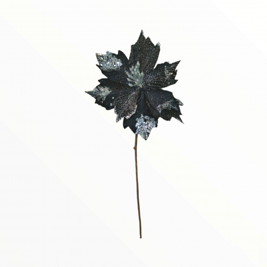 Χριστουγεννιάτικο Λουλούδι, Μαύρο Αλεξανδρινό (24c