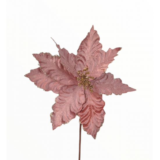 Χριστουγεννιάτικο Λουλούδι, Ροζ Αλεξανδρινό (24cm)