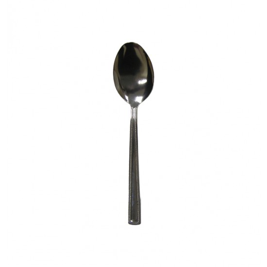 METALLIC SPOON