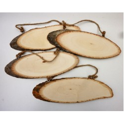 ΚΟΡΜΟ ΞΥΛΟΥ 