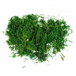 ΔΙΑΚΟΣΜΗΤΙΚΟ ΓΡΑΣΙΔΙ  ΔΙΑΚΟΣΜΗΤΙΚΟ ΓΡΑΣΙΔΙ