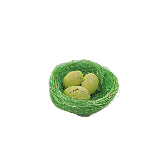 DECORATIVE QUICK EGGS WITH STRAW