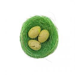 ΔΙΑΚΟΣΜΗΤΙΚΑ ΑΥΓΑ ΟΡΤΥΚΙΟΥ ΜΕ ΑΧΥΡΑ  ΔΙΑΚΟΣΜΗΤΙΚΑ ΑΥΓΑ ΟΡΤΥΚΙΟΥ ΜΕ ΑΧΥΡΑ