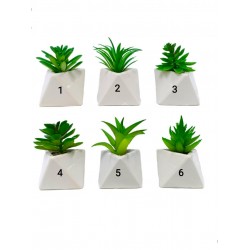 ΤΕΧΝΗΤΟ ΚΑΚΤΑΚΙ ΤΕΧΝΗΤΟ ΚΑΚΤΑΚΙ