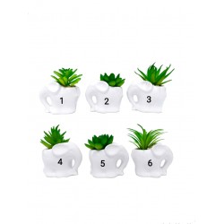 ΤΕΧΝΗΤΟ ΚΑΚΤΑΚΙ, 8 εκ. υψος ΤΕΧΝΗΤΟ ΚΑΚΤΑΚΙ, 8 εκ. υψος