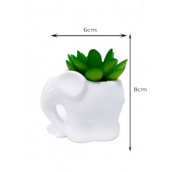 ΤΕΧΝΗΤΟ ΚΑΚΤΑΚΙ, 8 εκ. υψος