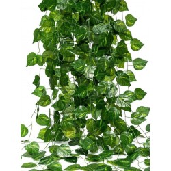 ΓΙΡΛΑΝΤΑ ΜΕ ΦΥΛΛΩΜΑ, 2μ. ΓΙΡΛΑΝΤΑ ΜΕ ΦΥΛΛΩΜΑ, 2μ.