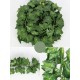 LEAFAGE GARLAND