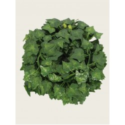 ΓΙΡΛΑΝΤΑ ΜΕ ΦΥΛΛΩΜΑ ΓΙΡΛΑΝΤΑ ΜΕ ΦΥΛΛΩΜΑ