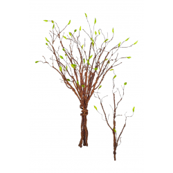 ΚΛΑΔΙ ΚΟΡΜΟΣ ΚΑΦΕ ΜΕ ΦΥΛΛΑ, 70 εκ.