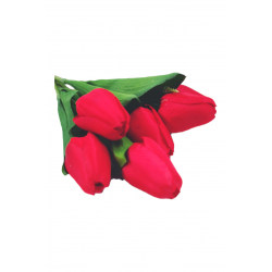 ΤΕΧΝΗΤΟ ΜΠΟΥΚΈΤΟ ΤΟΥΛΊΠΑ, 25εκ. ΤΕΧΝΗΤΟ ΜΠΟΥΚΈΤΟ ΤΟΥΛΊΠΑ, 25εκ.