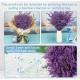 Natural dried flowers  SPRING DECOR