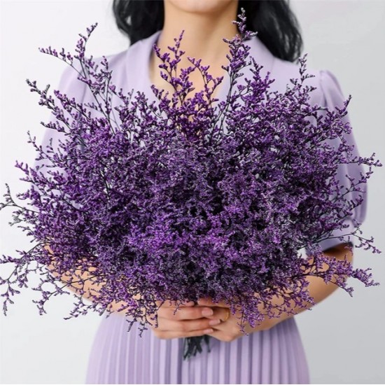 Natural dried flowers  SPRING DECOR