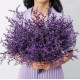 Natural dried flowers  SPRING DECOR