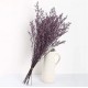 Natural dried flowers  SPRING DECOR