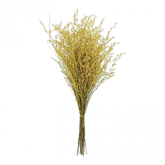 Natural dried flowers  SPRING DECOR