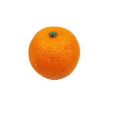 ΠΟΡΤΟΚΑΛΙ - ΠΛΑΣΤΙΚΟ