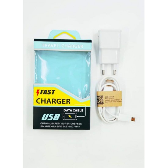 FAST CHARGER