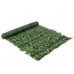 CLIMBING FOLIAGE CLIMBING FOLIAGE