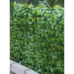 CLIMBING FOLIAGE CLIMBING FOLIAGE