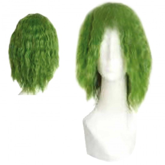 Clown wig green 