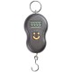 Kitchen scales