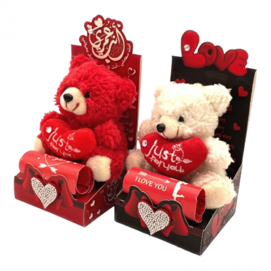 VALENTINES DAY GIFT  TEDDY BEAR AND CUP CHILDREN C