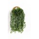 GARLAND BUXUS