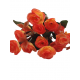ARTIFICIAL FLOWER 