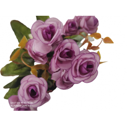 Purple rose