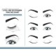 DRAWING GUIDE EYEBROW TEMPLATE