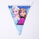 Τρίγωνη γιρλάντα σημαιάκια Frozen