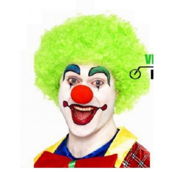 Clown wig green 