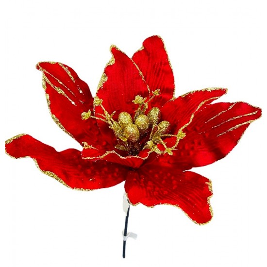 Χριστουγεννιάτικο Λουλούδι, Κόκκινο με χρυσό Αλεξα