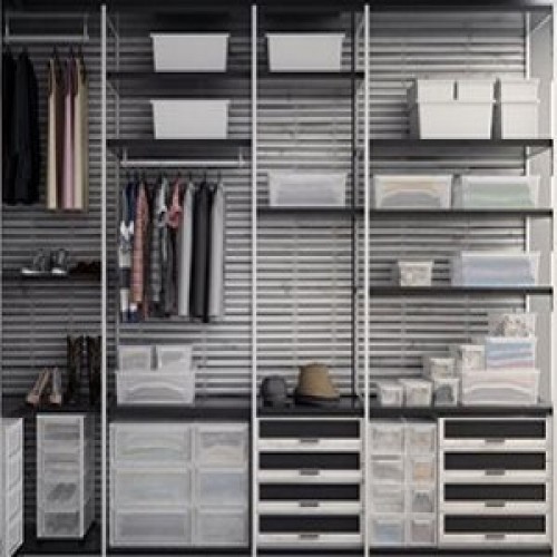 ORGANIZATION