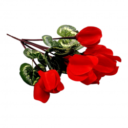 ΤΕΧΝΗΤΟ ΦΥΤΟ ΚΥΚΛΑΜΙΝΟ, ΚΟΚΚΙΝΟ ΧΡΏΜΑ, 32ΕΚ.