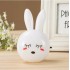 LIGHT NIGHT BUNNY