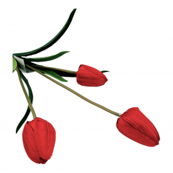 ΤΕΧΝΗΤΟ ΜΠΟΥΚΈΤΟ ΤΟΥΛΊΠΑ, 51εκ. ΤΕΧΝΗΤΟ ΜΠΟΥΚΈΤΟ ΤΟΥΛΊΠΑ, 51εκ.