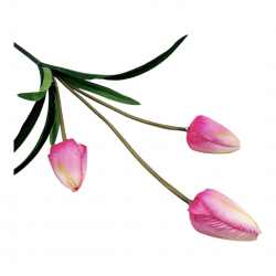 ΤΕΧΝΗΤΟ ΜΠΟΥΚΈΤΟ ΤΟΥΛΊΠΑ, 51εκ. ΤΕΧΝΗΤΟ ΜΠΟΥΚΈΤΟ ΤΟΥΛΊΠΑ, 51εκ.