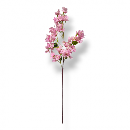 ΒΟΥΚΑΜΒΙΛΙΑ ΚΛΩΝΑΡΙ, 95 ΕΚ ΤΕΧΝΗΤΑ ΦΥΤΑ & ΑΝΘ