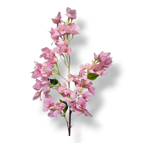 ΒΟΥΚΑΜΒΙΛΙΑ ΚΛΩΝΑΡΙ, 95 ΕΚ ΤΕΧΝΗΤΑ ΦΥΤΑ & ΑΝΘ