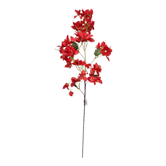 ΒΟΥΚΑΜΒΙΛΙΑ ΚΛΩΝΑΡΙ, 95 ΕΚ ΤΕΧΝΗΤΑ ΦΥΤΑ & ΑΝΘ