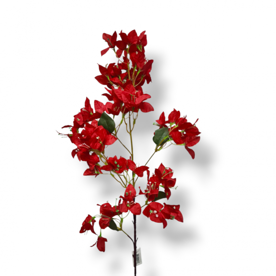 ΒΟΥΚΑΜΒΙΛΙΑ ΚΛΩΝΑΡΙ, 95 ΕΚ ΤΕΧΝΗΤΑ ΦΥΤΑ & ΑΝΘ