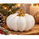 DECORATIVE WHITE PUMPKIN WITH GOLD STEM 9X11 CM DECORATIVE WHITE PUMPKIN WITH GOLD STEM 9X11 CM