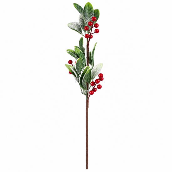 SNOWY CHRISTMAS BRANCH WITH GREEN LEAVES AND RED B SNOWY CHRISTMAS BRANCH WITH GREEN LEAVES AND RED B