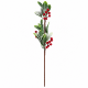 SNOWY CHRISTMAS BRANCH WITH GREEN LEAVES AND RED B SNOWY CHRISTMAS BRANCH WITH GREEN LEAVES AND RED B